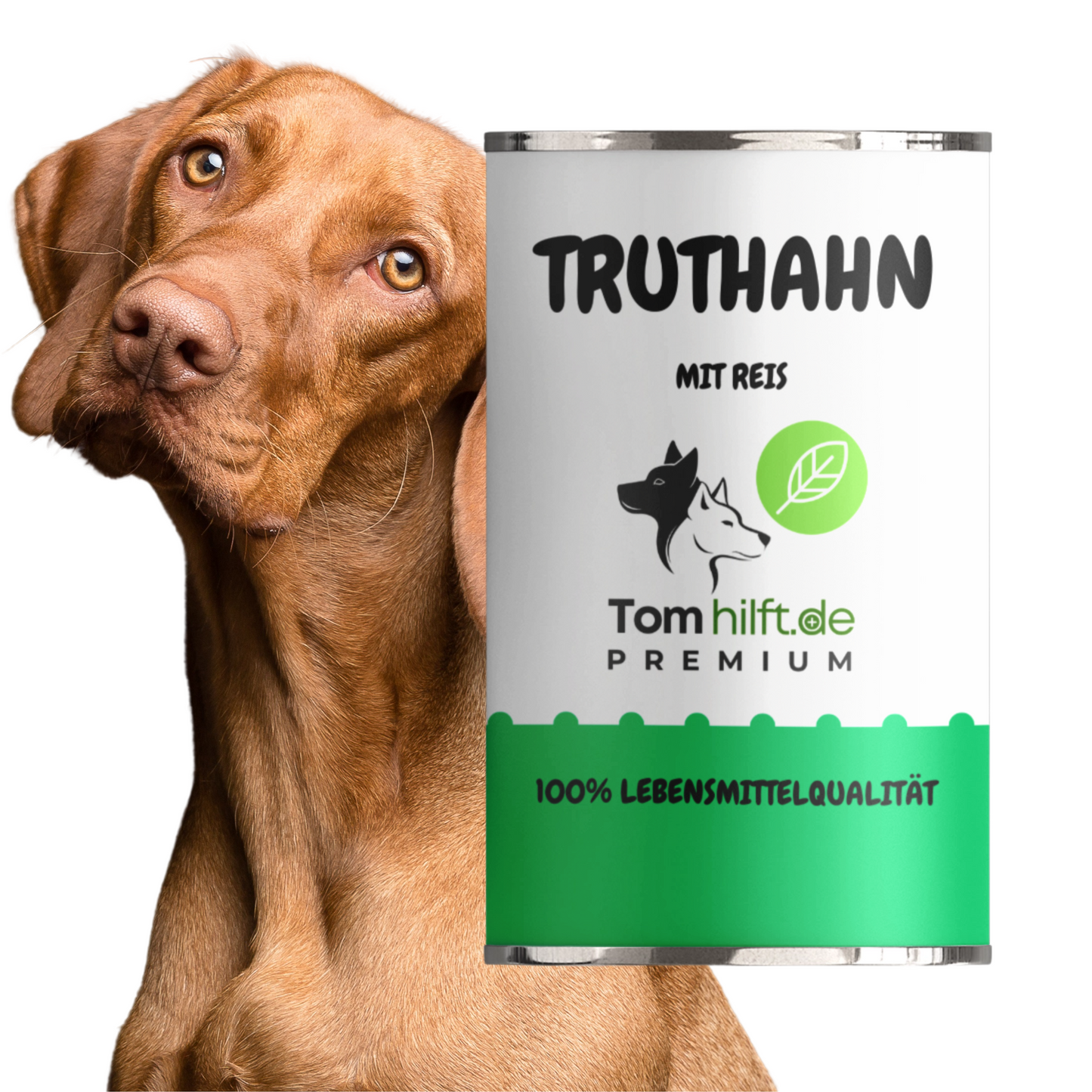 6 x Truthahn mit Reis