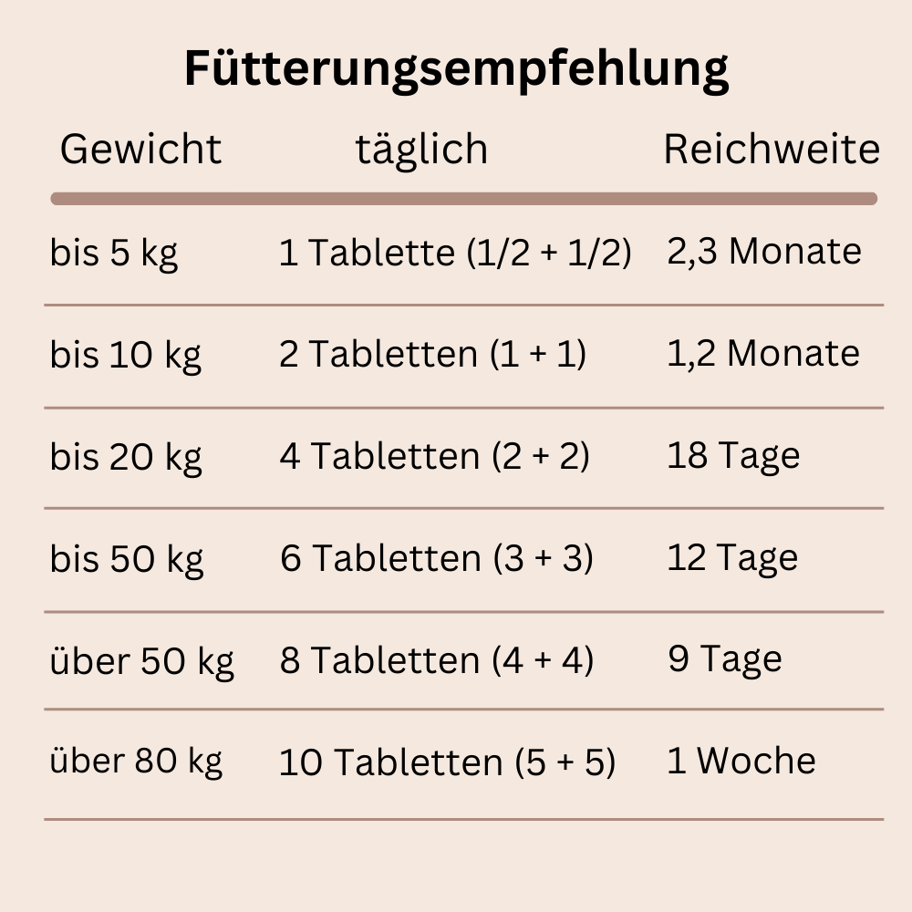 Verdauung