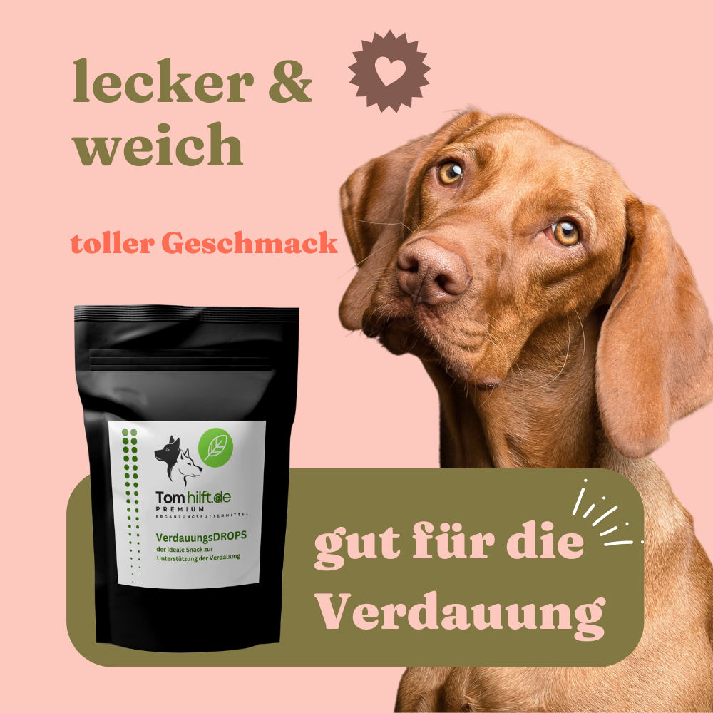 VerdauungsDROPS