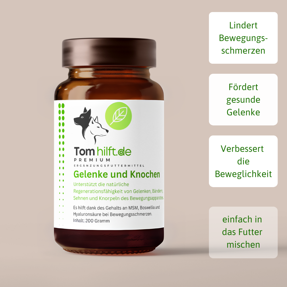 Gelenke und Knochen