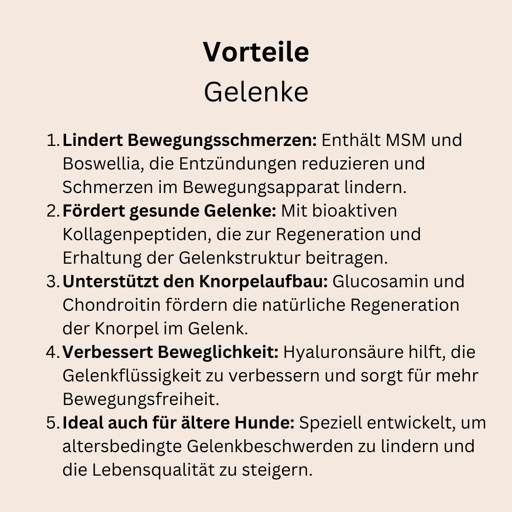 Gelenke und Knochen