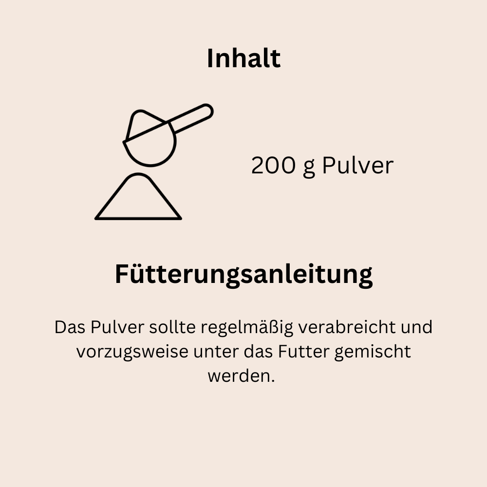 Gelenke und Knochen