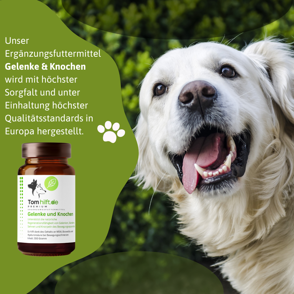 Gelenke und Knochen