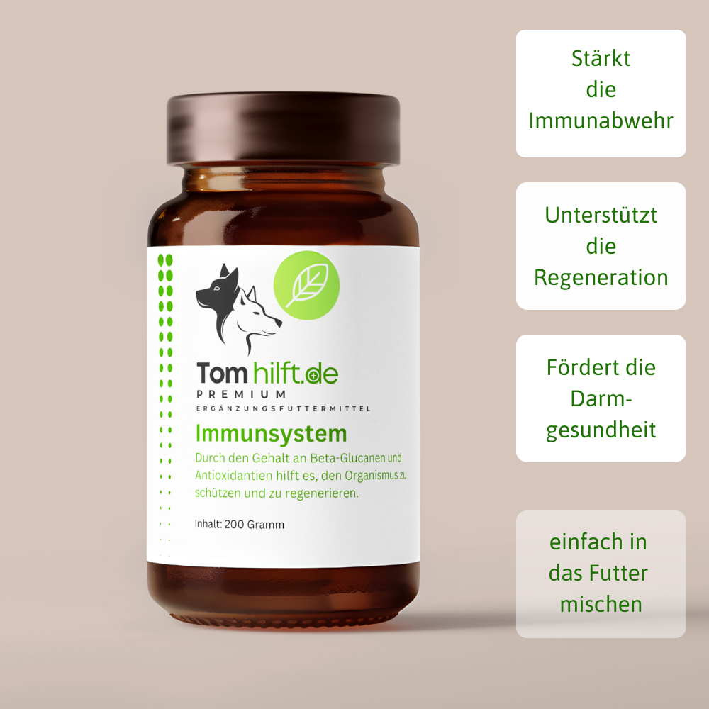 Immunsystem