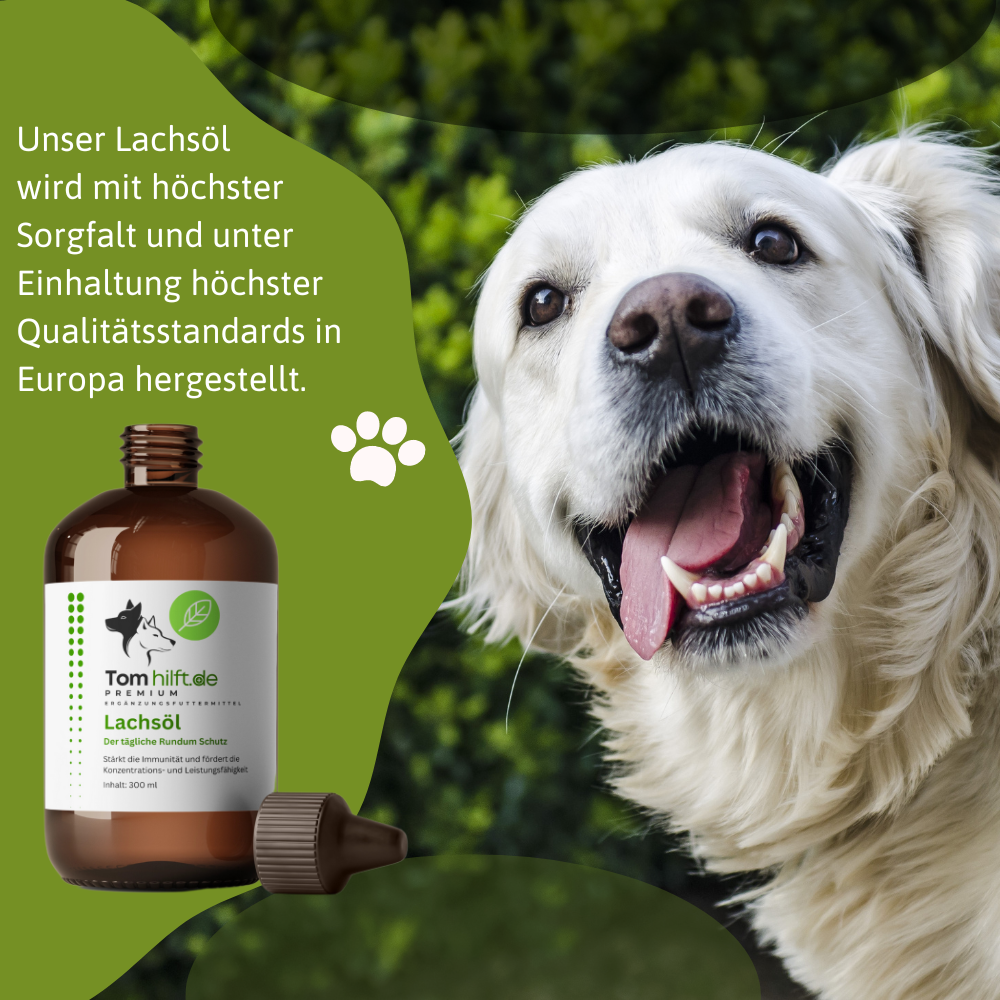 Lachsöl