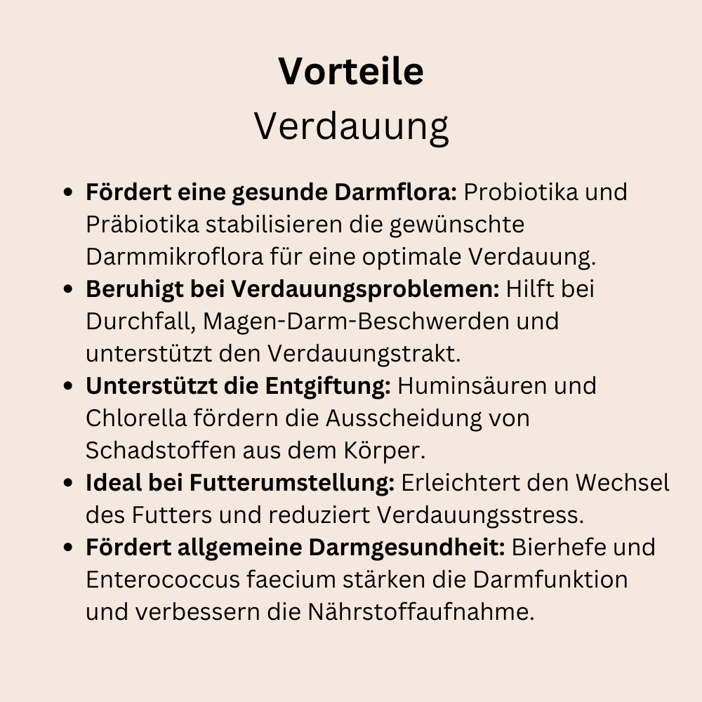 Verdauung