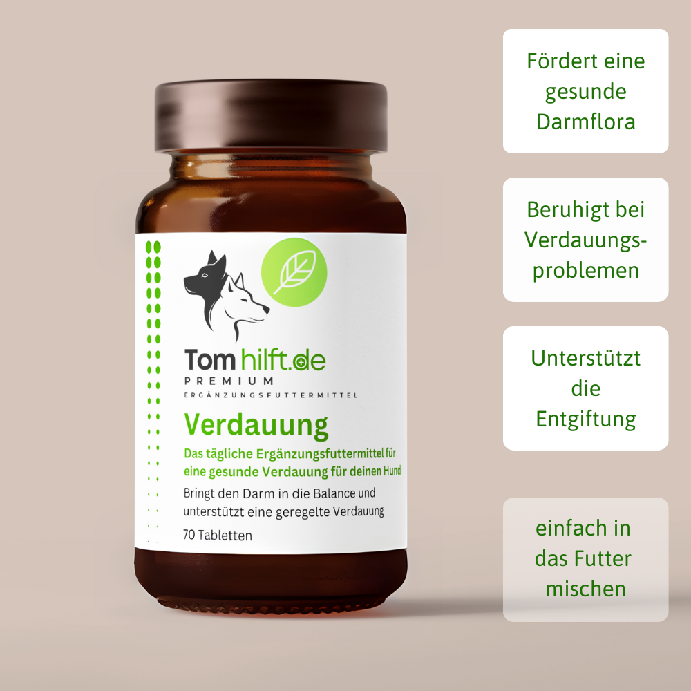 Verdauung