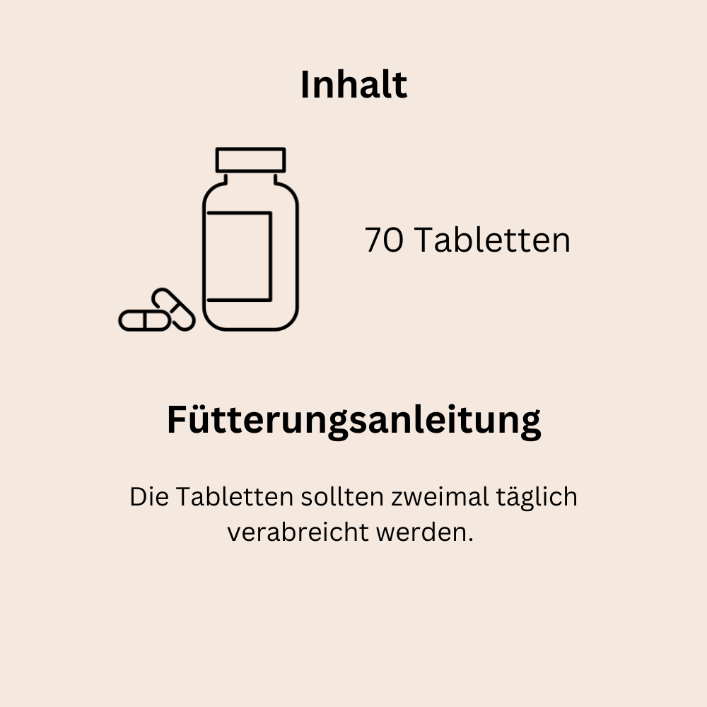 Verdauung