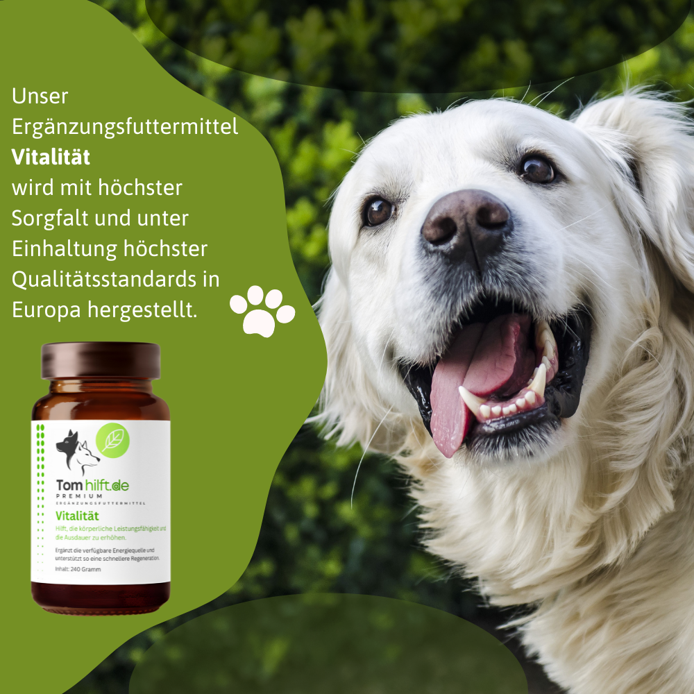 Vitalität
