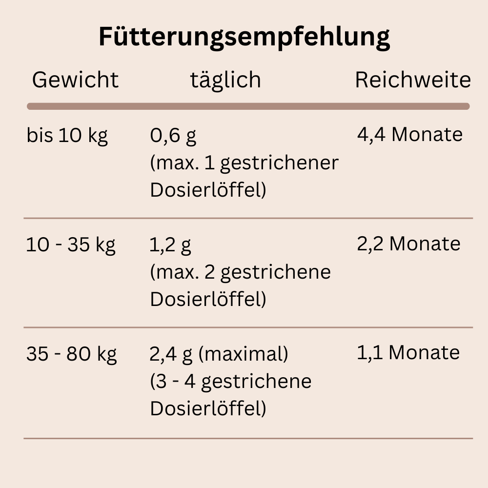 Zähne und Zahnfleisch