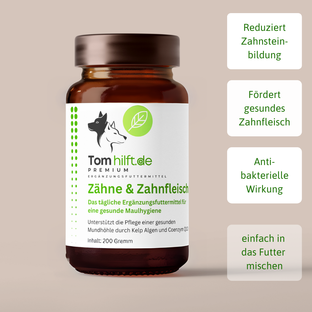 Zähne und Zahnfleisch