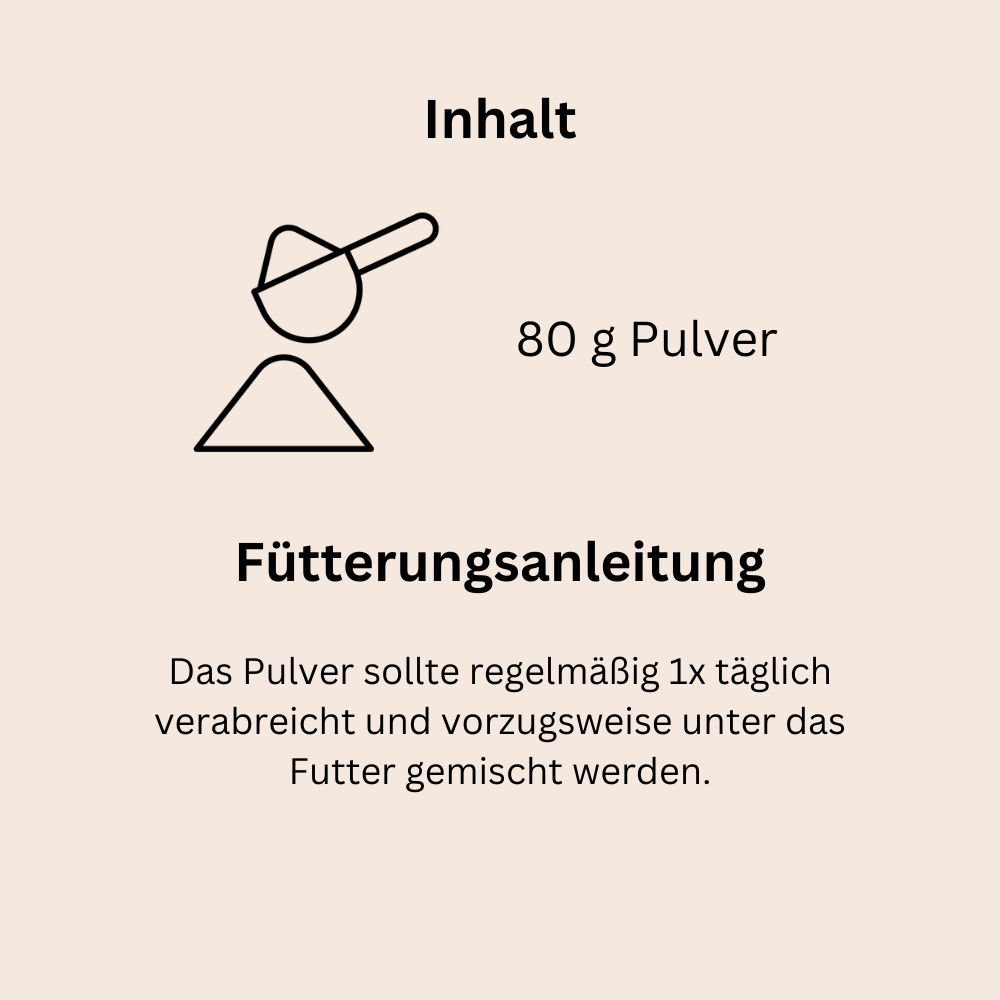 Zähne und Zahnfleisch