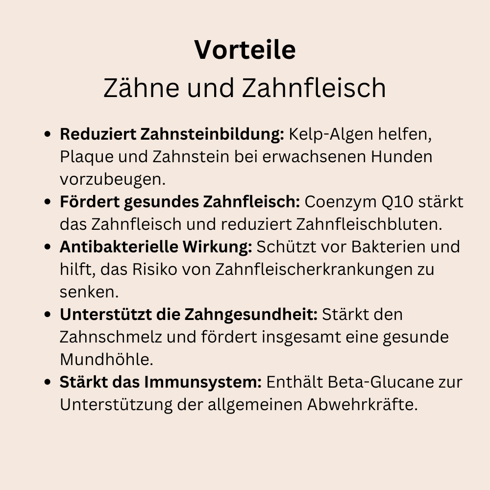 Zähne und Zahnfleisch
