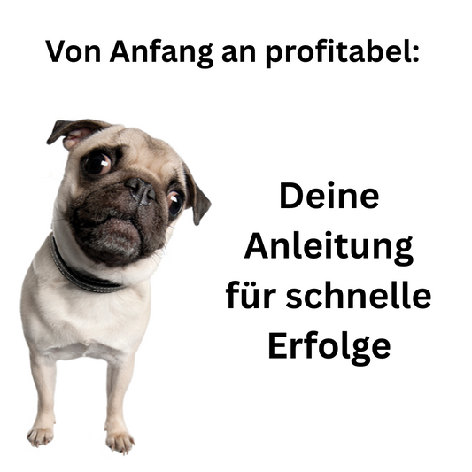 Von Anfang an profitabel: Deine Anleitung für schnelle Erfolge